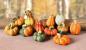 Preview: 12 kleine Deko Kürbisse aus Terracotta, Halloweendeko, Herbstdeko, Tischdeko