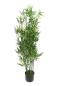 Preview: Kunstpflanze "Bambus" im Topf, 115 cm hoch, Zierpflanze, Büropflanze, Dekopflanze