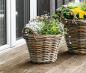 Preview: Pflanzkorb "Rattan" klein, Ø 30x23 cm Blumentopf, Pflanztopf, Pflanzkübel für Draußen, Blumenkübel
