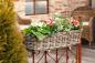 Preview: Rattan Pflanzkasten "Koboo Grey" groß, grau, Balkonkasten mit Halterung, Blumenkasten für Draußen, Pflanzgefäß