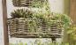Preview: Rattan Pflanzkasten "Koboo Grey" mittel, grau, Balkonkasten mit Halterung, Blumenkasten für Draußen, Pflanzgefäß
