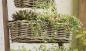 Preview: Rattan Pflanzkasten "Koboo Grey" mittel, grau, Balkonkasten mit Halterung, Blumenkasten für Draußen, Pflanzgefäß
