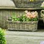 Preview: Rattan Pflanzkasten "Koboo Grey" 46 cm lang, grau, Balkonkasten, Blumenkasten für Draußen, Pflanzgefäß