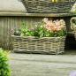 Preview: Rattan Pflanzkasten "Koboo Grey" 46 cm lang, grau, Balkonkasten, Blumenkasten für Draußen, Pflanzgefäß