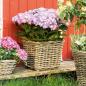 Preview: Pflanzkorb "Koboo Grey" aus Rattan, quadratisch, grau, klein, Blumentopf, Pflanzkübel, Pflanztopf für Draußen, Blumenkübel