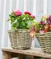 Preview: Pflanzkorb "Koboo Grey" aus Rattan, quadratisch, grau, klein, Blumentopf, Pflanzkübel, Pflanztopf für Draußen, Blumenkübel