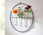 Preview: Wanddeko "Väschen" aus Metall, schwarz, Ø 40 cm mit 4 Glasröhrchen, Wandvase, Wandschmuck mit Glasvasen, Vasenset