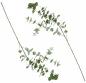 Preview: Deko-Zweig "Eukalyptus", 2er Set Ast mit Blättern, Kunst-Pflanze mit Glitzer