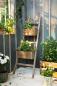 Preview: Pflanzleiter "Rustikal" aus recyceltem Holz, 110 cm hoch, mit 2 Pflanzkästen, Balkon & Gartendeko für Draußen, Blumenkasten, Hochbeet