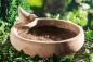 Preview: Vogeltränke aus Terracotta, 32x8 cm, im Antik-Look mit Zier-Vogel, Futterstelle