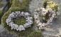 Preview: Dekoset "Rosen" Kranz & Herz aus Polyresin, wetterfest, Wandschmuck, Türschmuck, Grabschmuck, Gartendeko für Draußen