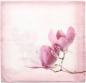 Preview: Kissenhülle "Tulpenmagnolie" in Samt Optik, rosa, 45x45 cm, Kissenbezug, Zierkissenbezug mit eingearbeitetem Reißverschluss