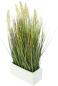 Preview: Kunstpflanze "Gras" 46 cm hoch im Porzellan Topf, Ziergras, Dekopflanze, Dekogras