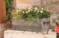 Preview: Pflanzkasten "Grey" aus recyceltem Holz, grau gekalkt, Pflanzer, Pflanzbox, Blumenkasten, Balkonkasten
