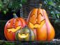 Preview: Dekofigur Kürbistrio "Smile" 35 cm breit, Herbstdeko, Windlicht, Halloweendeko, Gartendeko für Draußen