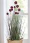 Preview: Topfpflanze "Allium" 90 cm hoch, Kunstpflanze, Dekopflanze, Ziergras, Dekogras