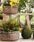 Preview: Hocker "Used Look" aus recyceltem Holz, Holzbank rustikal, Blumenständer, Blumenhocker, Gartendeko, Sitzhocker, Fußhocker
