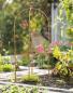 Preview: Rankhilfe "Schmetterling" aus Metall in Rost Optik, 104 cm hoch, Rankgerüst, Gartenstecker