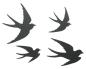 Preview: 4x Wanddeko "Vögel" aus Metall, matt schwarz, Wandhänger, Wandtattoo, Metallbild