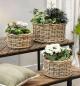 Preview: 3x Pflanzkorb "Koboo Grey" aus Rattan, Ø 26, 32, 40 cm, Blumentopf, Pflanzkübel, Pflanztopf für Draußen, Blumenkübel