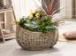 Preview: XXL Pflanzkorb "Koobo Grey" aus Rattan, 58 x 43 cm, Blumentopf, Pflanzkübel, Pflanztopf, Blumenkorb