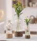 Preview: 3x Vase "Blume & Schmetterling" aus Glas in Flaschenform, Blumenvase, Dekovase, Glasvase, Vasenset, Tischvase