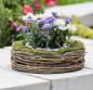 Preview: Pflanzer "Natur" Pflanzschale aus Moos, Weinreben & Weide, rund Ø 26 cm, Outdoor Blumentopf, Pflanztopf für Draußen, Garten Pflanzgefäß