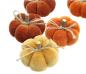 Preview: 6x Kürbis "Herbstfarben" in Samt Optik, Zierkürbis, Dekokürbis, Tischdeko Kürbisse
