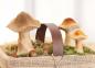 Preview: 3x Pilz "Natural" aus Holz, große Dekopilze, 7 10 14 cm hoch, Dekofigur Pilzset, Herbstdeko Pilze, Pilzdeko
