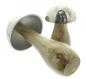 Preview: 2x Pilz "Mangoholz" aus Holz mit Hut aus Aluminium in Antik Optik, große Dekopilze, 11 + 18 cm hoch, Dekofigur Pilzset silber & natur, Herbstdeko Pilze