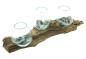 Preview: Wandvase "Wurzelholz" Wandboard mit 3 Glasvasen, 56 cm lang, Handarbeit von Bali, Unikat, Wand-Windlicht, Teelichthalter