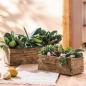 Preview: 2x Pflanzkasten "Puro" aus recyceltem Holz, Blumenkasten, Pflanzentopf für Zimmerpflanzen, Blumentopf