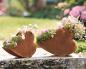 Preview: 2x Pflanzer "Herz" aus Metall in Rost Finish, liegend, Blumentopf, Pflanztopf, Pflanzgefäß, Gartendeko für Draußen
