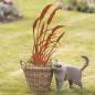 Preview: Gartenstecker "Schilf" aus Metall mit Echt Rost, Roststecker 95 cm hoch, Dekostecker, Outdoor Gartendeko für Draußen
