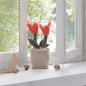 Preview: Türstopper "Tulpen" 20 cm hoch, lustiger Tür- & Fensterstopper, Türfeststeller, Boden Türpuffer
