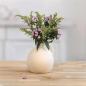 Preview: Dekovase "Krug" aus Porzellan, creme, kleine Blumenvase, Tischvase für Trockenblumen, Zweige & Äste, Vase