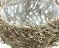Preview: Pflanzschale "Verzweigt" aus Zweigen, rund, Ø 34 cm, Pflanztopf, Blumenkübel, Übertopf, Blumentopf, Blumenschale