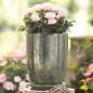 Preview: Pflanztopf "Oliv" mit Untersetzer, 2-tlg., Blumentopf aus Terracotta, grün, Indoor & Outdoor Blumenkübel, Pflanzentopf