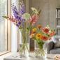 Preview: 2x Dekovase "Puro" aus Glas, klar, Blumenvase 15 + 25 cm hoch, Glasvase, Tischvase, Vasen-Set