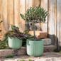 Preview: 2x Blumentopf "Mint" aus Dolomitstein, grün, Pflanztopf rund, Ø 14 + 17 cm, Indoor & Outdoor Blumenkübel, Pflanzentopf