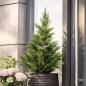 Preview: Kunstpflanze "Konifere" künstliche Pflanze wie echt, 91 cm hoch, Kunstbaum im Topf, Kunstpflanzen immergrün