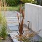 Preview: Gartendeko "Schilf" aus Metall mit Edelrost, 91 cm hoch, Schilfgras Outdoor Rost Deko für Draußen