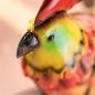 Preview: Dekovogel "Kakadu" aus Metall, bunt, witzige Dekofigur, Vogel 30 cm hoch, Sommer Deko für Innen, Vogeldeko, Vogelfigur