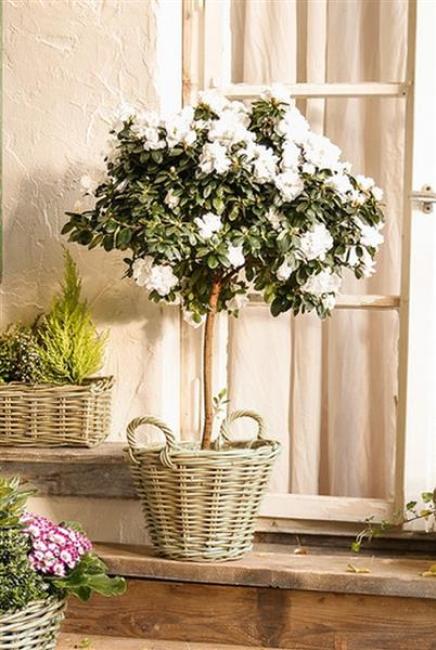 Preview: Rattan Pflanzkorb "Rustikal" rund Ø 35x25 cm groß, grau, Outdoor Blumentopf, Pflanzkübel, Pflanztopf für Draußen, Blumenkübel