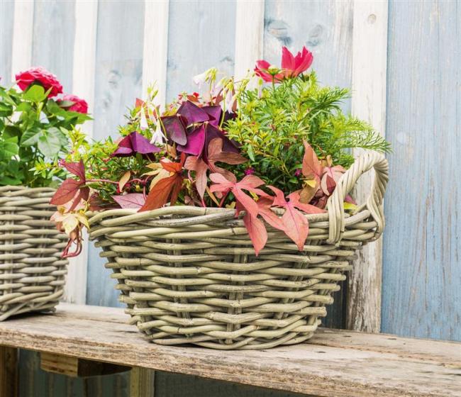 Preview: Pflanzschale "Koboo Grey" Ø 43x18 cm groß, aus Rattan, rund, grau, Pflanzkorb, Blumentopf,  Pflanztopf für Draußen, Blumenkübel
