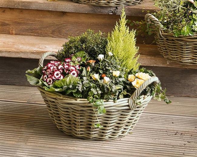 Pflanzschale "Koboo Grey" Ø 43x18 cm groß, aus Rattan, rund, grau, Pflanzkorb, Blumentopf,  Pflanztopf für Draußen, Blumenkübel