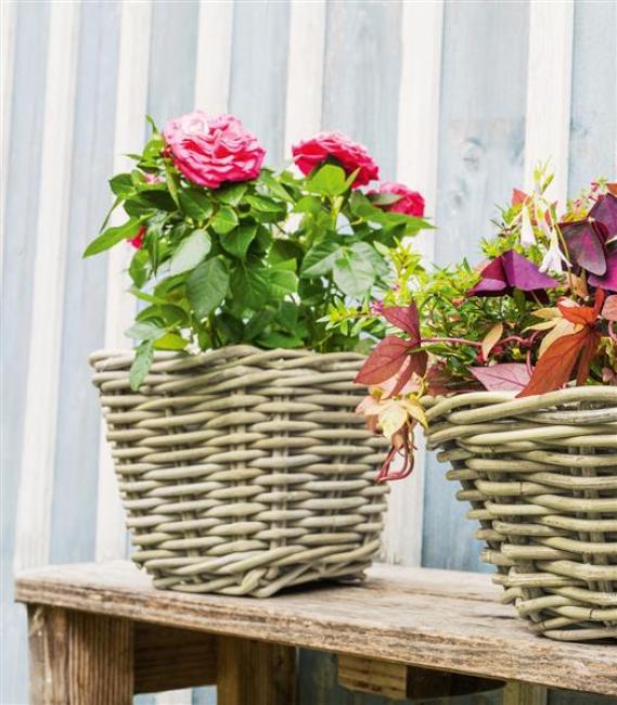 Preview: Pflanzkorb "Koboo Grey" aus Rattan, quadratisch, grau, klein, Blumentopf, Pflanzkübel, Pflanztopf für Draußen, Blumenkübel