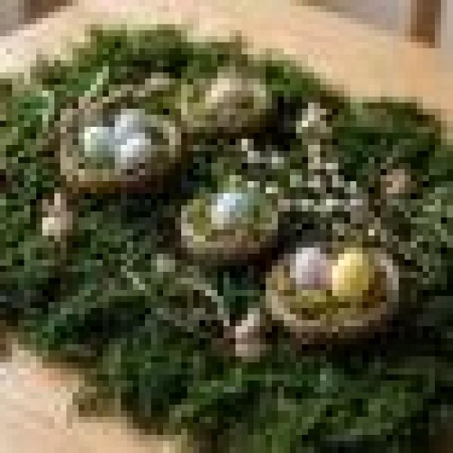 100g Naturmoos getrocknet, zum Dekorieren & Basteln