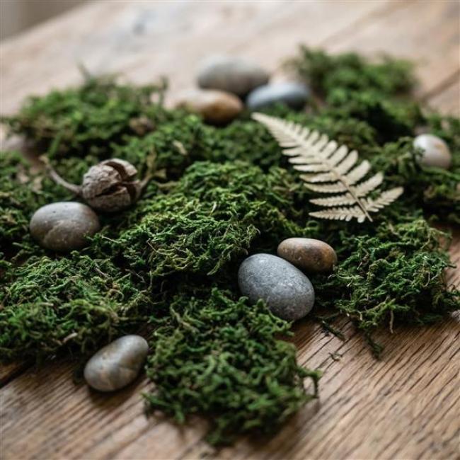 Preview: 100g Naturmoos getrocknet, zum Dekorieren & Basteln