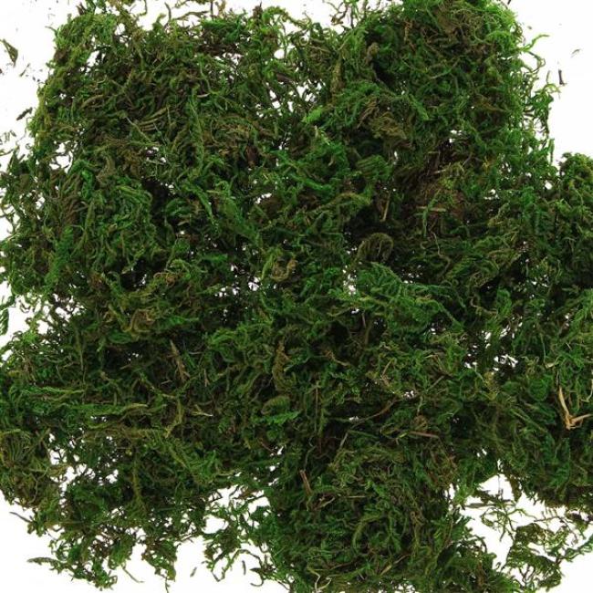 100g Naturmoos getrocknet, zum Dekorieren & Basteln